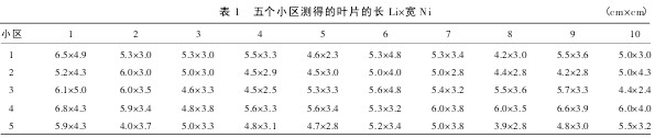 表 1 五個(gè)小區(qū)測(cè)得的葉片的長(zhǎng) Li×寬 Ni