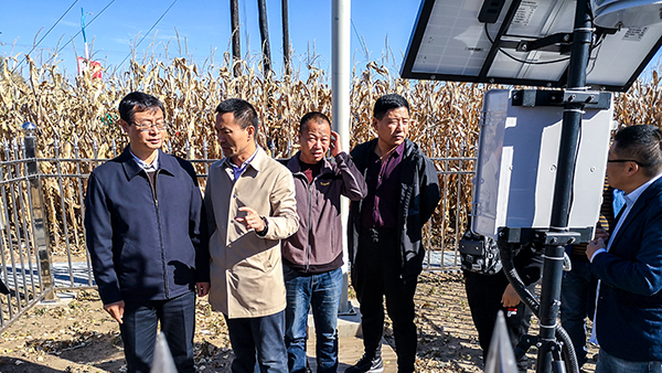 xAcr(nng)ꖶL(zhng)ͺرo(h)}뽻Մ