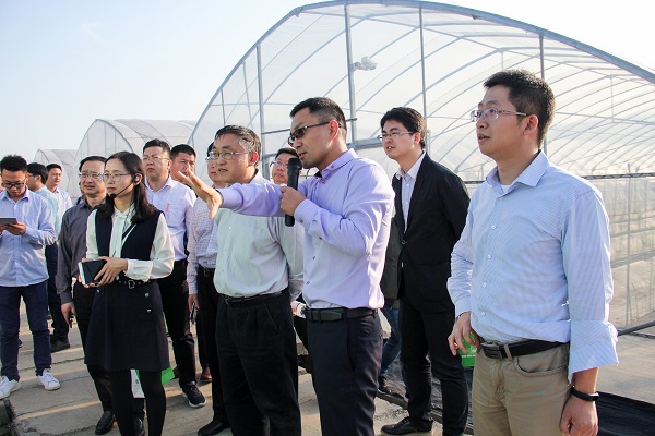 王主任一行關注托普云農智能標準化產品:棚聯網