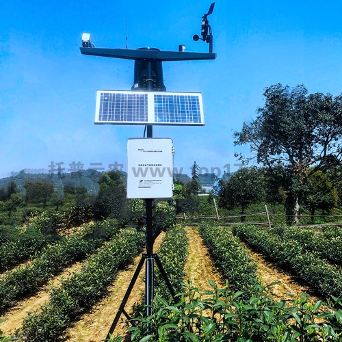 馬鈴薯晚疫病預警儀