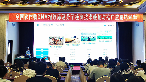 2019ȫNәz(yn)g(sh)Ӗ(xn)ں_