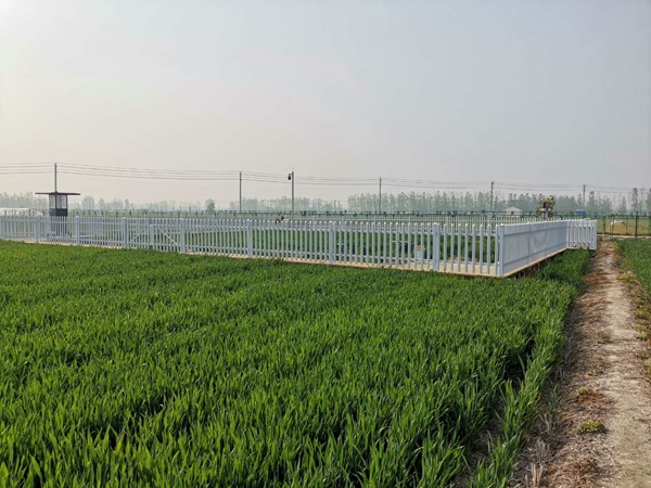 r(nng)cKֲֲzվwr(nng)ĺf(xi)h