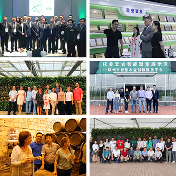 r(nng)FL^M(jn)r(nng)I(y)g(sh)