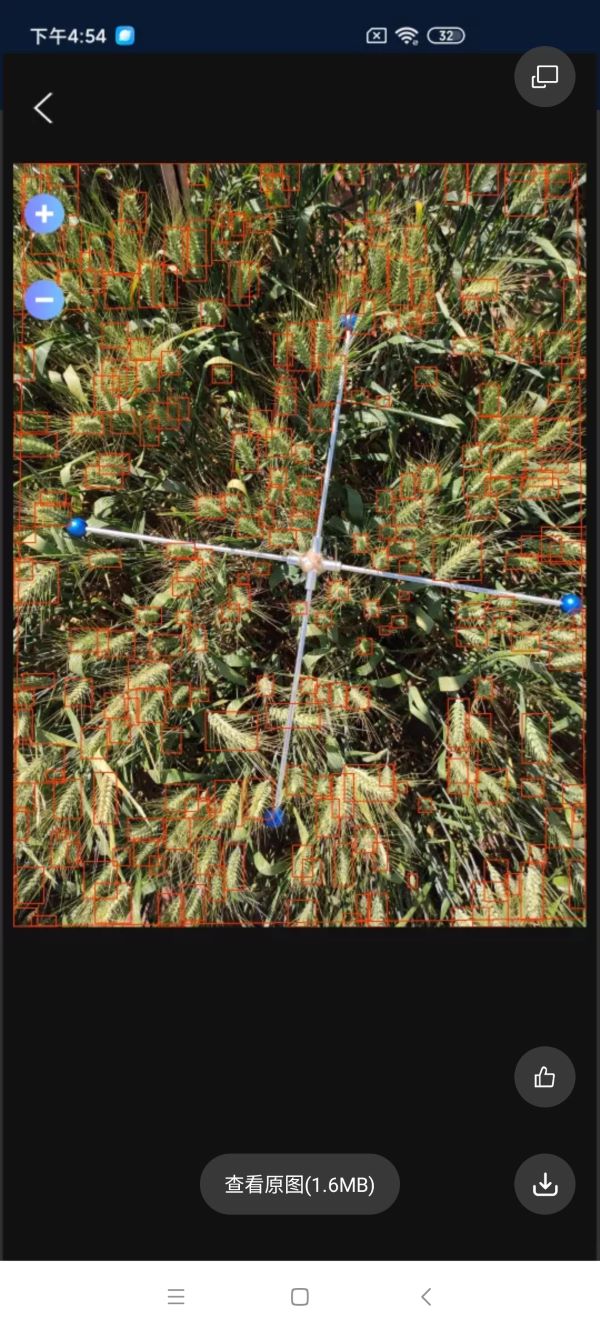 小麥畝穗數(shù)測(cè)量系統(tǒng)