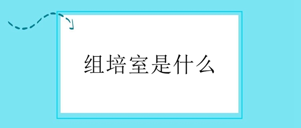 組培室是什么