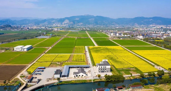 寧波海曙古林數(shù)字大田——農(nóng)機可視化,種植信息化,灌溉智能化