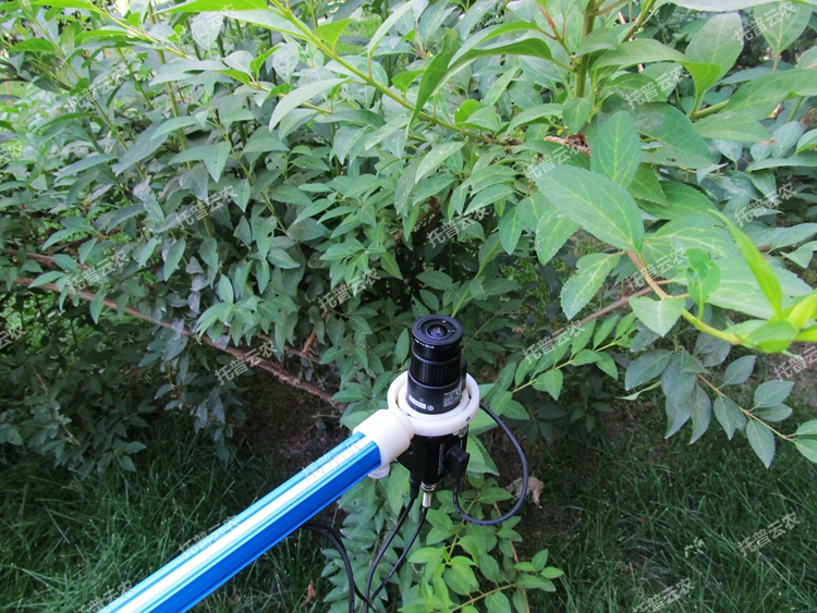 植物冠層圖像分析儀