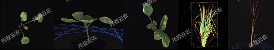 逆境模擬及植物生長監(jiān)測平臺-2維