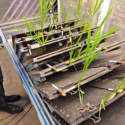 高通量植物根系表型采集分析系統(根盒式)