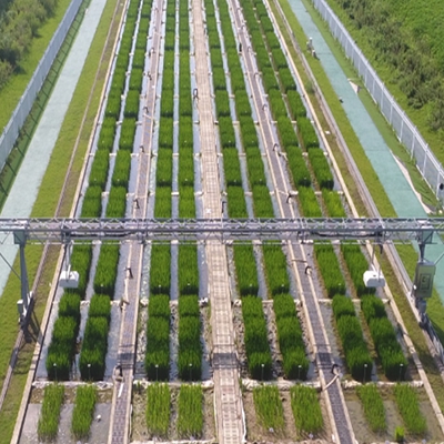 龍門式高通量表型采集分析平臺(地軌式) TPN-GTL-GT1